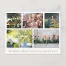 Search for sharing postcards Garden