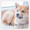 Search for coffee photo stickers Dog