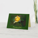 Search for rose bud cards Yellow