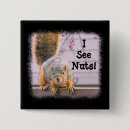 Search for nut with squirrel photography Squirrels