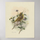 Recherche de aviaire art Ornithologie