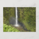 Search for akaka falls Scenic