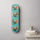 Search for nuts skateboards Squirrel