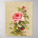 Recherche de vintage girly posters Rose