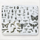 Recherche de entomologie tapis souris Anglais