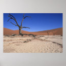 Recherche de arbre nu posters Jour