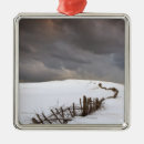 Search for cold temperature ornaments Horizontal