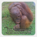 Search for be kind to animals stickers Kindness