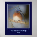 Search for bluebird posters Quote