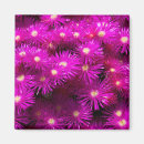 Recherche de maîtresse magnets Jardin