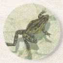 Recherche de crapaud dessous de verres Grenouille