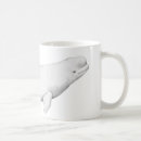 Search for beluga whale mugs Illustration