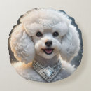 Recherche de petite diva coussins Caniche