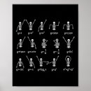 Search for feline anatomy posters Magic