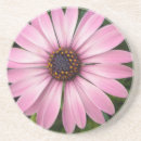 Search for african daisy barware Blossom