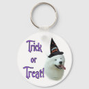 Search for samoyed dog accessories Animals