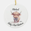 Search for cattle ornaments Highland cow