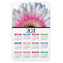 Recherche de gerbera magnets Marguerites