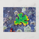 Search for lichen postcards Blue