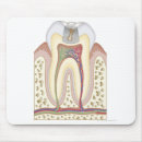 Search for human skin posters Medical