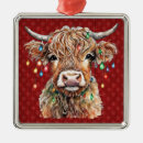Search for highland cow ornaments Cute