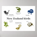 Recherche de tribal maori art Nouvelle zélande