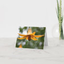 Search for canadian note cards Nature