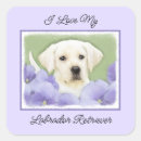Search for lab puppy stickers Black