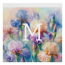 Search for pink iris posters Botanical