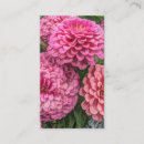Recherche de dahlia rose cartes visite Fleurs roses