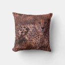 Search for cheetah pillows Wildlife