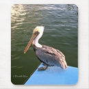 Search for posed mousepads Bird