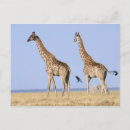 Search for concentration postcards Friendship