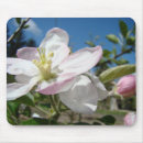 Search for apple blossoms mousepads Pink