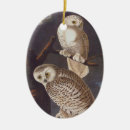 Search for white owl ornaments Nature
