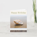 Search for conch shell cards Sand