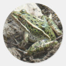 Recherche de animaux marais autocollants Faune