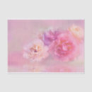 Search for tissue photography Pink