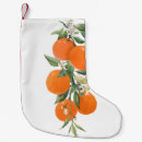 Recherche de plantes chaussette de noël Vintage