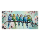 Search for budgie art Cute
