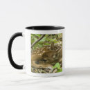 Search for shenandoah mugs Outdoors