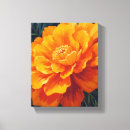 Search for marigold art Flower