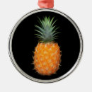 Search for pineapple ornaments Welcome