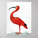 Search for coloured egg posters Vintage