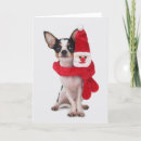 Recherche de chiwawa noël cartes Chien de recouvrement