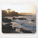 Recherche de verger tapis souris La californie