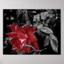 Recherche de éclaboussure de couleur posters Pour elle