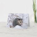 Search for funny opossum cards Winter