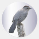 Search for aviary stickers Avian