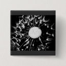 Search for dandelion buttons Flower